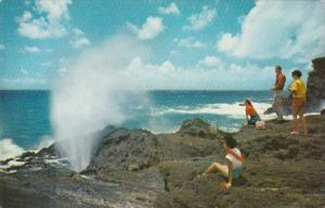 Hawaii Oahu The Blow Hole Salt Water Geyser