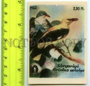 500277 HUNGARY Bird Oriolus Oriolus Vintage match label