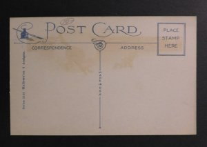 Mint USA Picture Postcard Halloween Punkins Bat and Black Cat Greetings