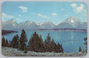 National & State Parks~Jackson Hole Wyoming~Grand Teton Park~Vintage Postcard