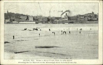 ALTON IL River Front Scene ICE HARVEST c1910 Postcard