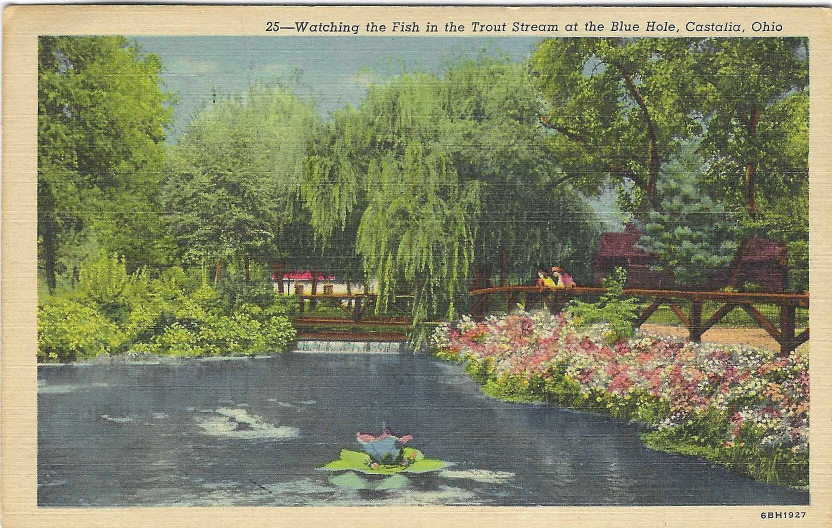 Watching the fish in the Trout stream at the Blue Hole, Castalia, Ohio