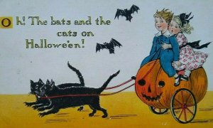 Halloween Postcard Tucks Black Cats Buggy Coach Carriage 190 RARE Fantasy