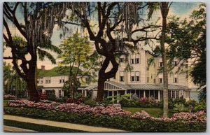 Vtg Clearwater Florida FL Grey Gull Inn Hotel Restaurant 1950s View Postcard