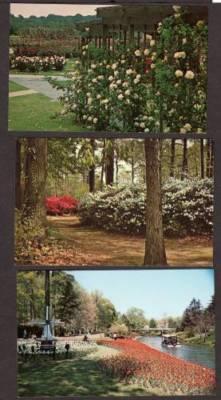 VA Lot 3 Botanical Gardens NORFOLK VIRGINIA POSTCARDS