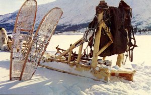 AK - Trapper's Gear. Huskies, Sled, Traps, Tent, Snowshoes