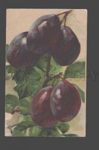 3084839 PLUMS on Tree by C. KLEIN vintage GOM 1832 PC