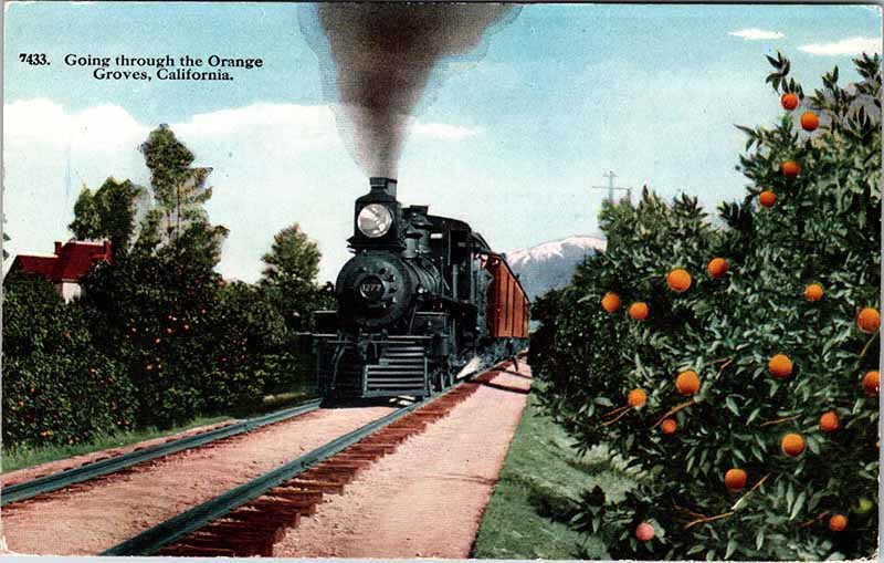 Postcard TRAIN SCENE State of California CA AL2698