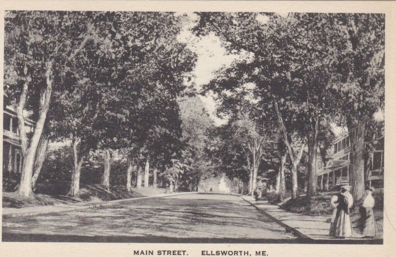 Maine Ellsworth Main Street Albertype sk3176