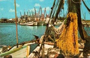 Texas Corpus Christi Shrimp Boats 1945