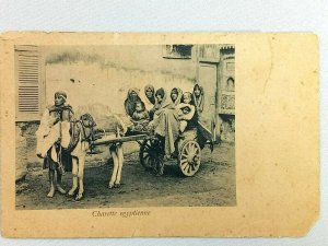 Vintage Postcard Charette Egyptienne Egypt Family in Pulled Cart