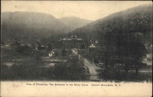 Phoenicia Shandaken New York NY Stony Clove Catskills c1910 postcard