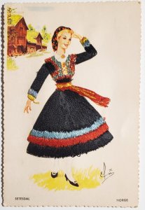 Norge Setesdal Pretty Woman Embroidered Traditional Costume Elsi Postcard P30