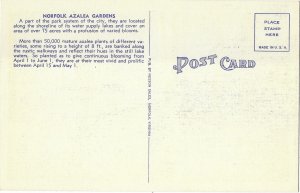 Norfolk Azalea Gardens Norfolk Virginia