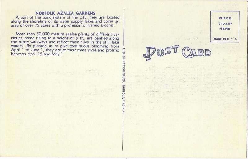 Norfolk Azalea Gardens Norfolk Virginia