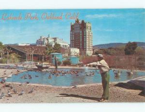 Pre-1980 WATERFOWL SANCTUARY AT LAKESIDE PARK Oakland California CA c8600