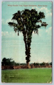 Whip Handle Tree, Upper Stewiacke, Nova Scotia, 1916 Postcard, Local Publisher