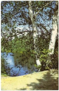 Lake Scene, Vintage 1986 Chrome Postcard