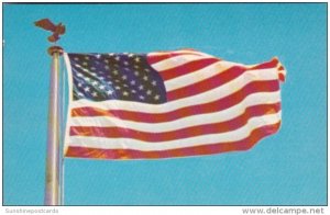 The American Flag Stars & Stripes