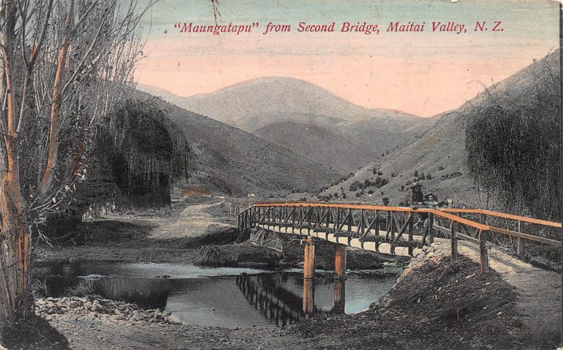 Maungatapu from Second Bridge, Maitai Valley, New Zealand, 1908 Postcard, Used