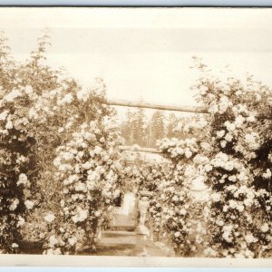 c1930s Brentwood Bay, BC, CAN Butchart Gardens RPPC Real Photo Fountain PC A126