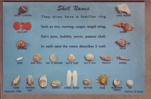 Shell names poem postcard