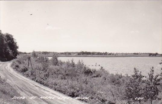 Scene At Maple Lake Minnesota