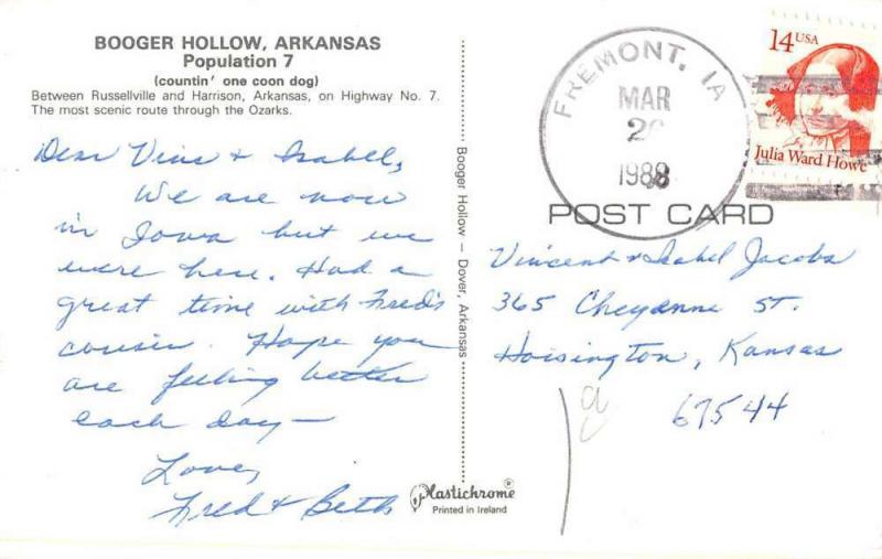 Booger Hollow Arkansas Cabin Store Street View Vintage Postcard K46324