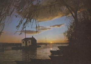 Valencia Sunset at La Albufera 1980s Rare Postcard