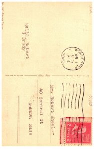 Dog , Airdale terrier