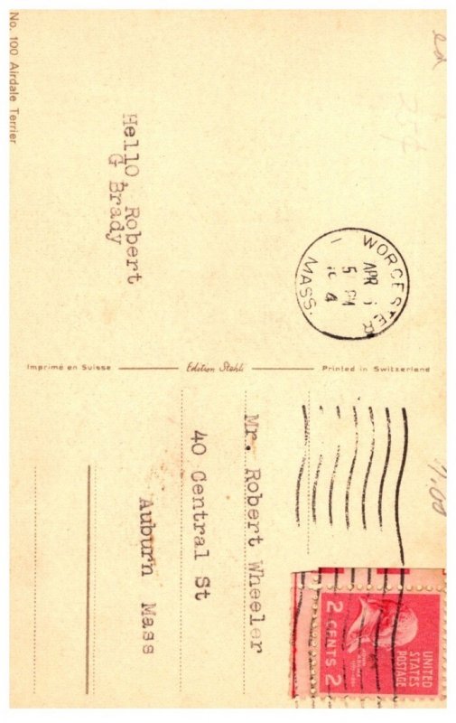 Dog , Airdale terrier