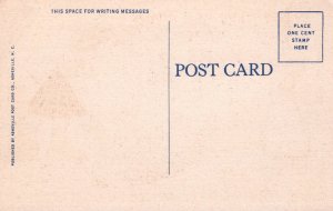 Take Your Choice Here Hens or Chicks Comic