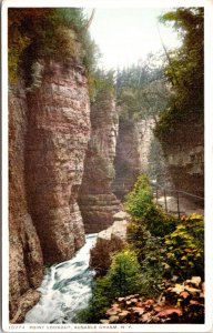 Ausable Chasm New York Point Lookout Scenic Landscape Gorge WB Postcard 