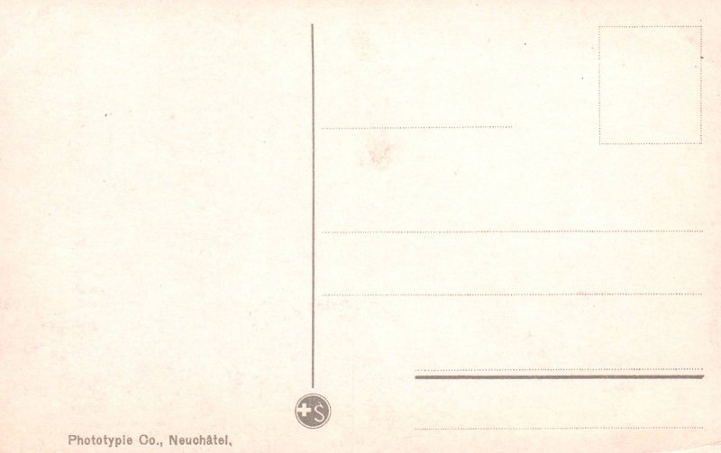 Panorama Mount Blanc,France