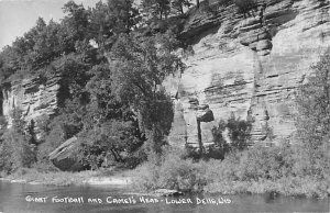 Giant Football Camel's Head Real Photo Lower Dells WI 