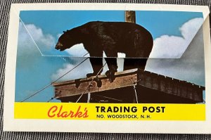 Clark's Trading Post 6 postcard set Black Bear Rastus Lincoln NH Roadside U6