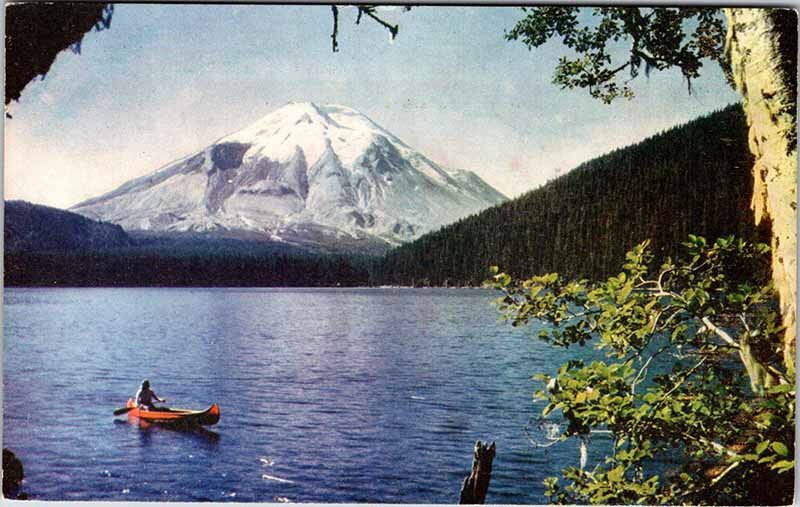 Postcard BOAT SCENE State of Washington WA AN7900