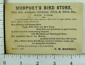 1882 Morphey's Bird Store Parrot Joe Watson Speaks 300 Words Rare Birds Card F96