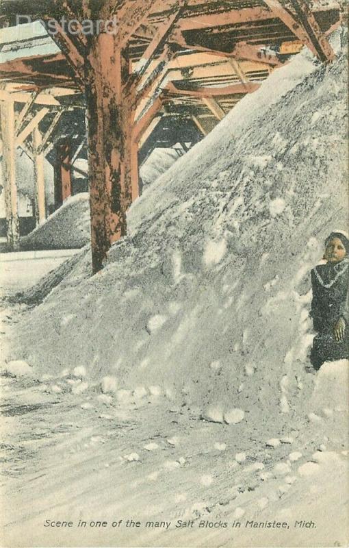 MI, Manistee, Michigan, Salt Block,Postmark 1909, Chas. J. Anderson