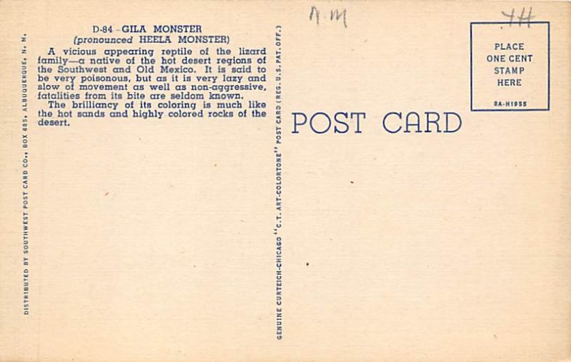 Gila Monster Misc, New Mexico NM s 