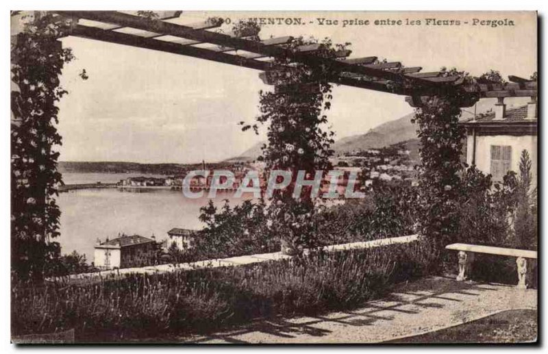 Old Postcard Menton View taken between Pergola flowers