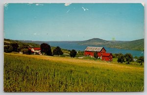 Canandaigua Lake Bare Hill Vine Valley South End NY  Postcard W27