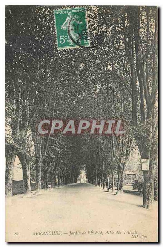 Old Postcard Avranches Jardin de l'Eveche Allee des Tilleuts