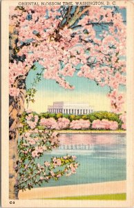 Washington DC Oriental Blossom Time Foliage Blooming Linen Cancel WOB Postcard 