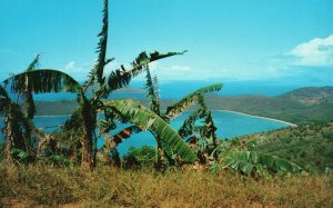 Vintage Postcard Magens Bay and Hans Lollik Island St. Thomas Virgin Island