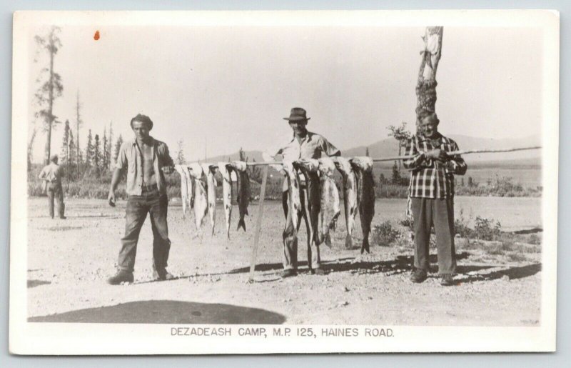 Haines Junction YT Fish String~Dezadeash Lake Govt Camp~Bears Come Up~RPPC 1953