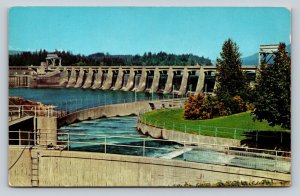 Fish Ladder & Bonneville Dam In Oregon Columbia River Vintage Postcard 0807