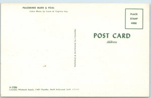 c1960s Cute Palomino Horses Mare & Foal Mother & Baby Feeding Milk PC Vtg A236