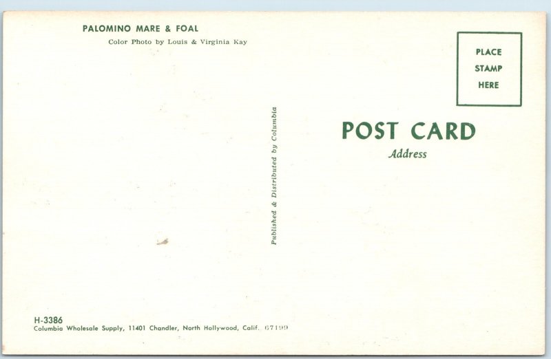 c1960s Cute Palomino Horses Mare & Foal Mother & Baby Feeding Milk PC Vtg A236