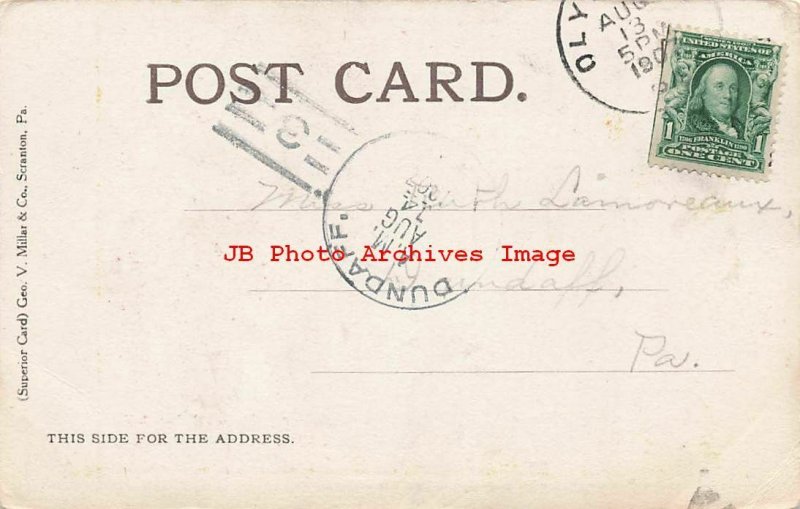 Black Americana, Millar, The Tea Cup's Fortune Telling